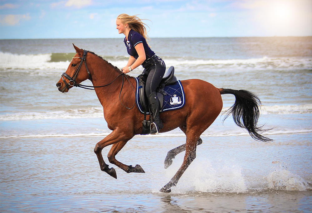 Paard & Ruiter - Ackuiperfotografie